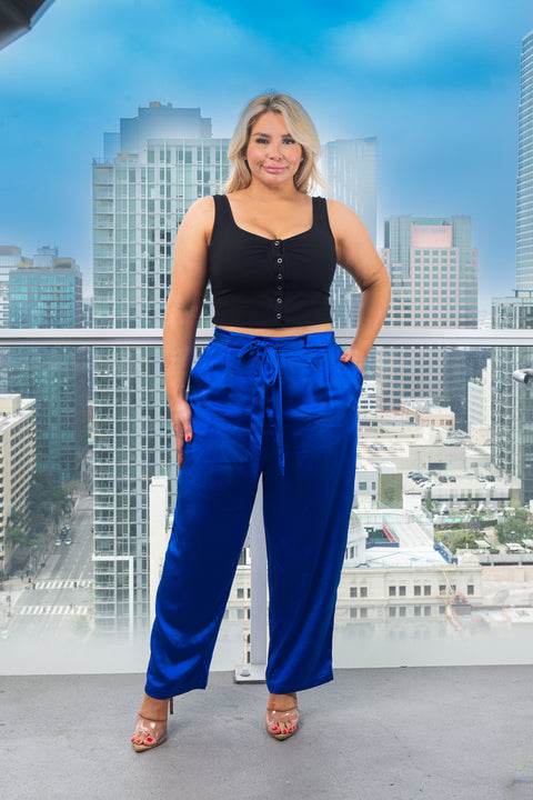 Plus Size Satin Palazzo Pants With Tie Front and 2 Pockets (173839) - Wholesale Fashion Couture 